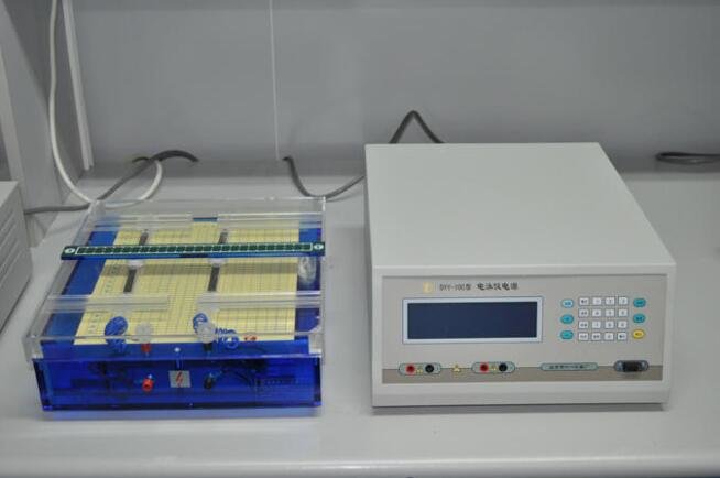 electrophoresis apparatus